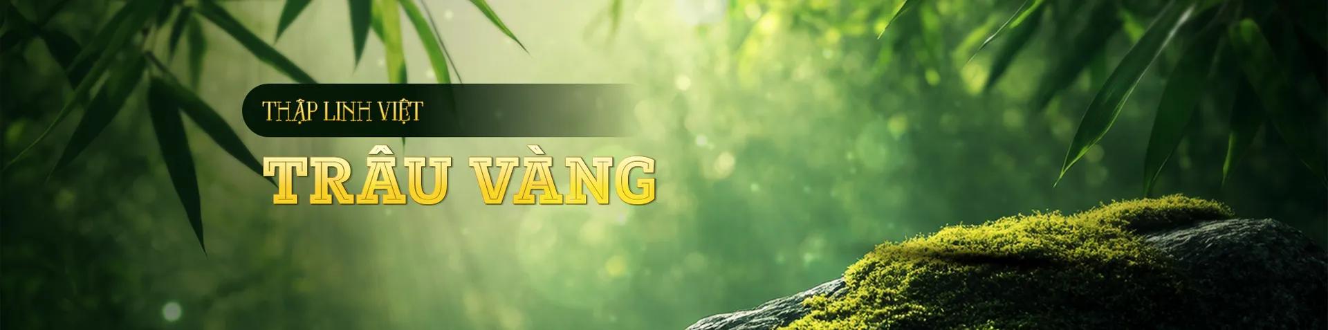 campaign-main-banner